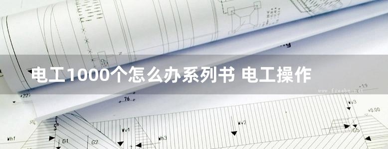 电工1000个怎么办系列书 电工操作1000个怎么办 第二版